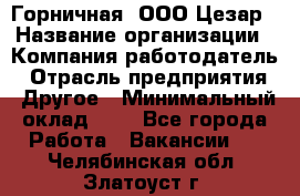 Горничная. ООО Цезар › Название организации ­ Компания-работодатель › Отрасль предприятия ­ Другое › Минимальный оклад ­ 1 - Все города Работа » Вакансии   . Челябинская обл.,Златоуст г.